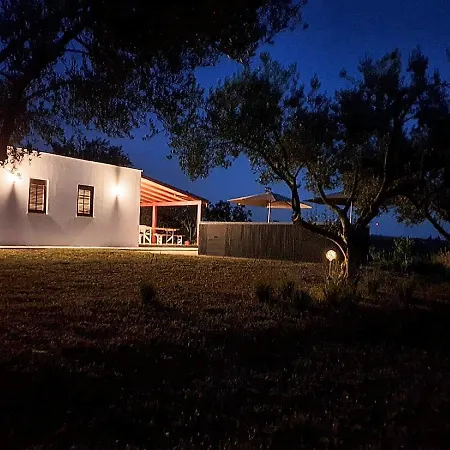 Olive Paradise * Murvica (Policnik)