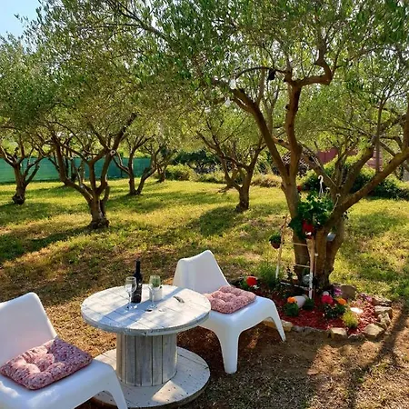 Olive Paradise Murvica (Policnik)