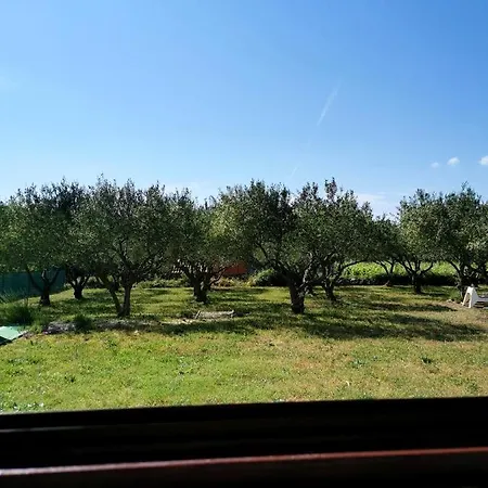 Olive Paradise Holiday home